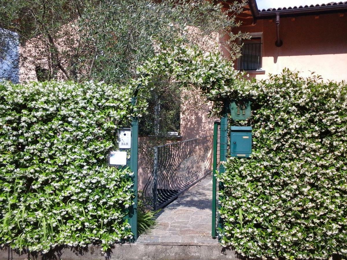 B&B L'Erica Onno Extérieur photo